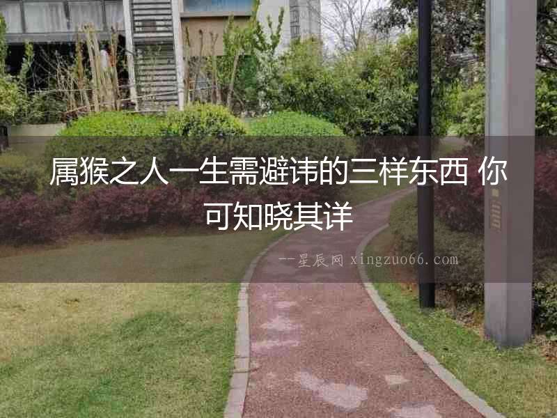 屬猴之人一生需避諱的三樣東西 你可知曉其詳
