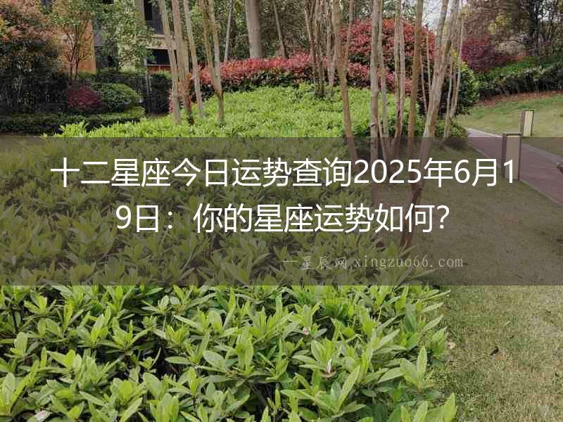 十二星座今日運勢查詢2025年6月19日：你的星座運勢如何？