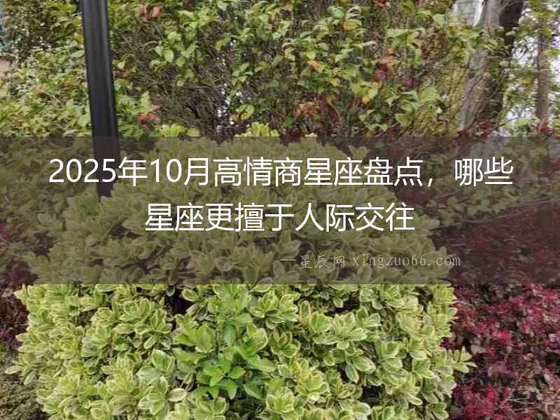 2025年10月高情商星座盤點，哪些星座更擅于人際交往