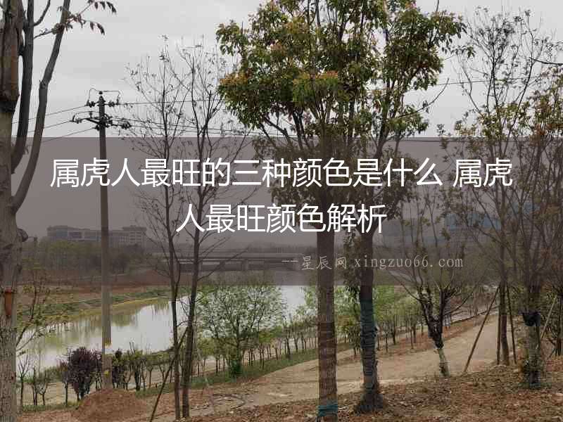 屬虎人最旺的三種顏色是什么 屬虎人最旺顏色解析