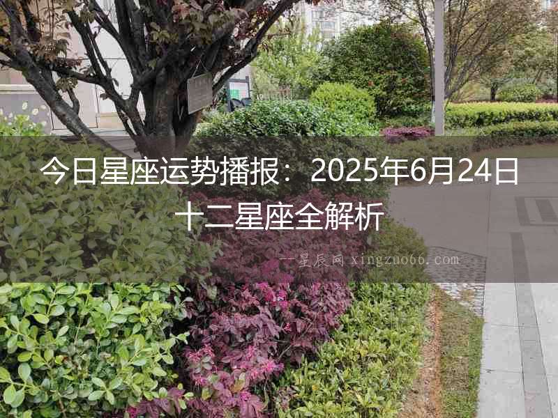 今日星座運勢播報：2025年6月24日十二星座全解析