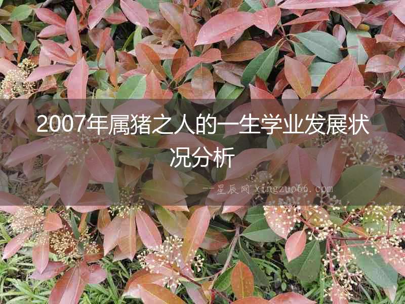 2007年屬豬之人的一生學(xué)業(yè)發(fā)展?fàn)顩r分析