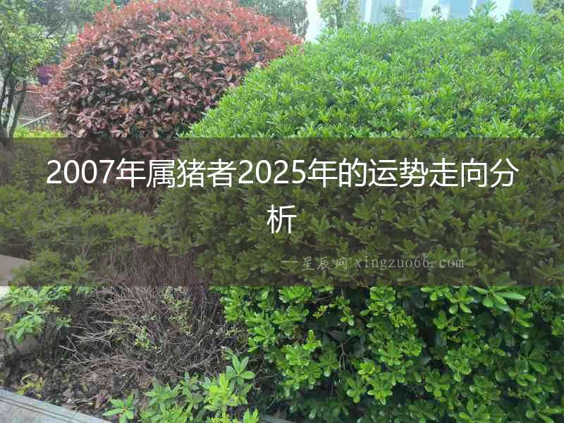 2007年屬豬者2025年的運(yùn)勢走向分析