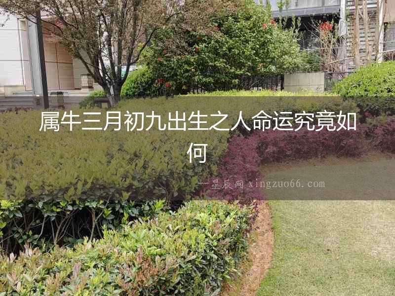 屬牛三月初九出生之人命運究竟如何