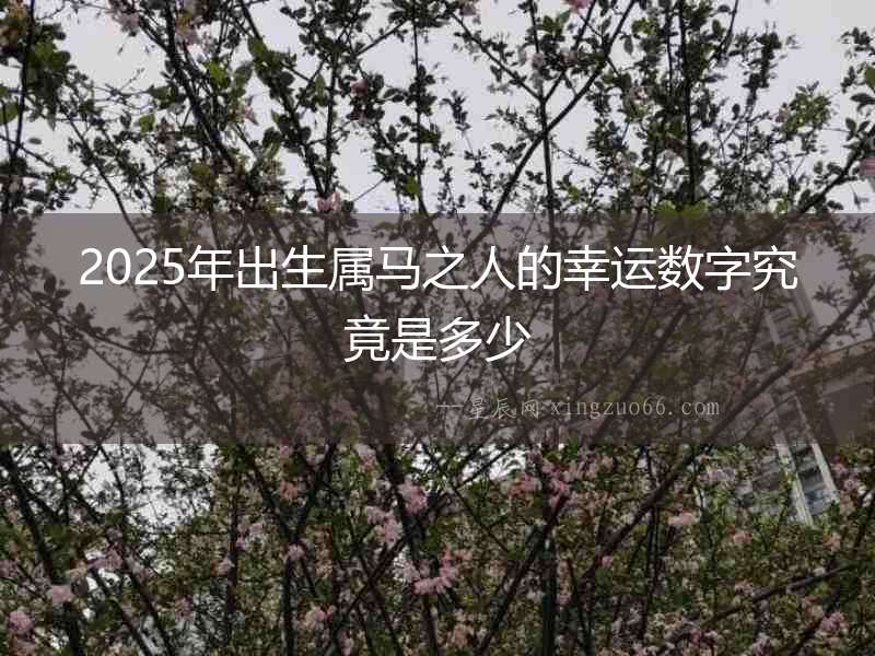 2025年出生屬馬之人的幸運(yùn)數(shù)字究竟是多少