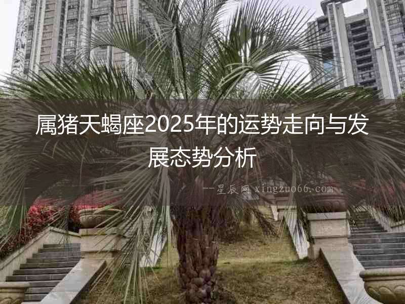 屬豬天蝎座2025年的運(yùn)勢走向與發(fā)展態(tài)勢分析