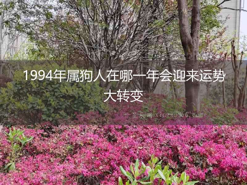 1994年屬狗人在哪一年會(huì)迎來(lái)運(yùn)勢(shì)大轉(zhuǎn)變