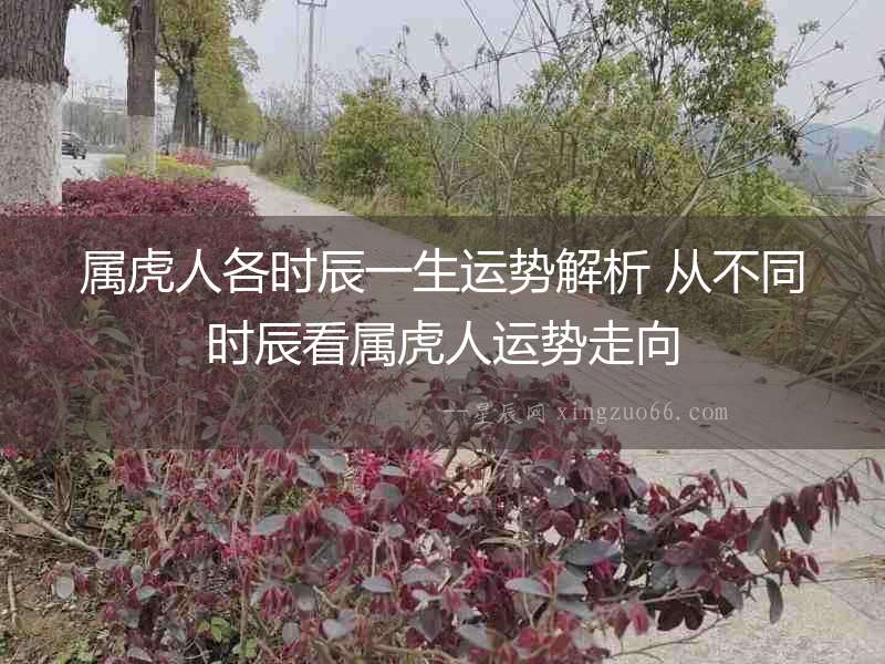 屬虎人各時(shí)辰一生運(yùn)勢解析 從不同時(shí)辰看屬虎人運(yùn)勢走向