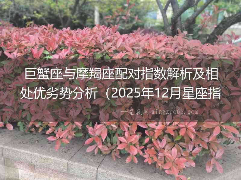 巨蟹座與摩羯座配對指數解析及相處優劣勢分析（2025年12月星座指南）
