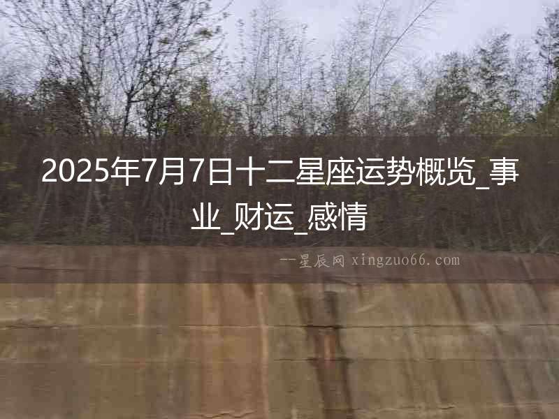 2025年7月7日十二星座運(yùn)勢概覽_事業(yè)_財(cái)運(yùn)_感情