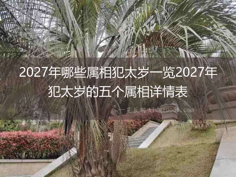 2027年哪些屬相犯太歲一覽2027年犯太歲的五個屬相詳情表