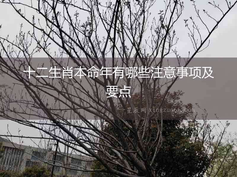 十二生肖本命年有哪些注意事項及要點