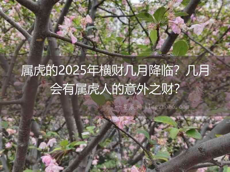 屬虎的2025年橫財(cái)幾月降臨？幾月會(huì)有屬虎人的意外之財(cái)？