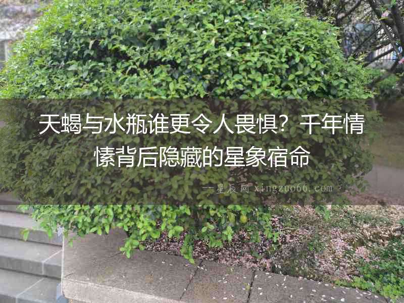 天蝎與水瓶誰更令人畏懼？千年情愫背后隱藏的星象宿命