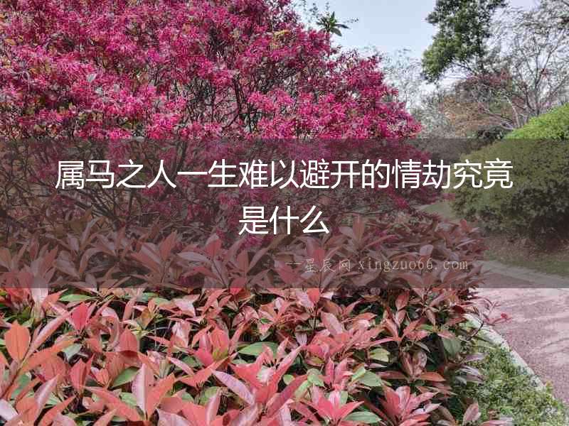屬馬之人一生難以避開的情劫究竟是什么