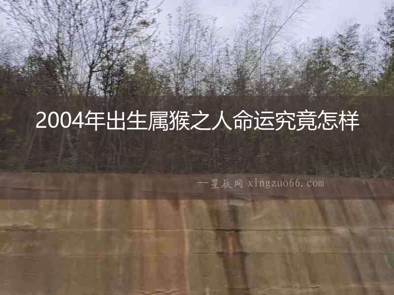 2004年出生屬猴之人命運究竟怎樣
