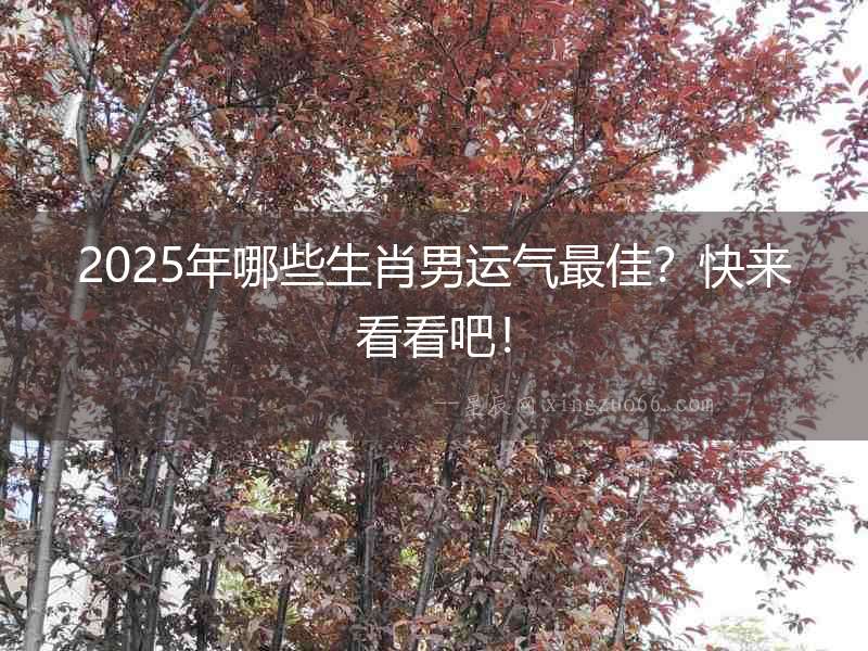2025年哪些生肖男運氣最佳？快來看看吧！