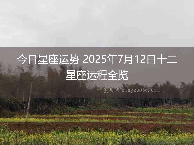 今日星座運勢 2025年7月12日十二星座運程全覽