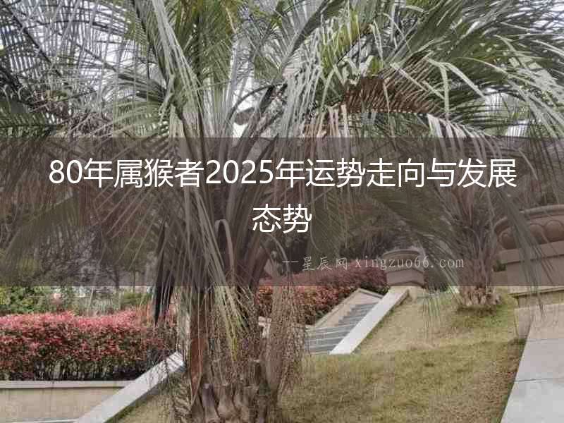 80年屬猴者2025年運勢走向與發展態勢