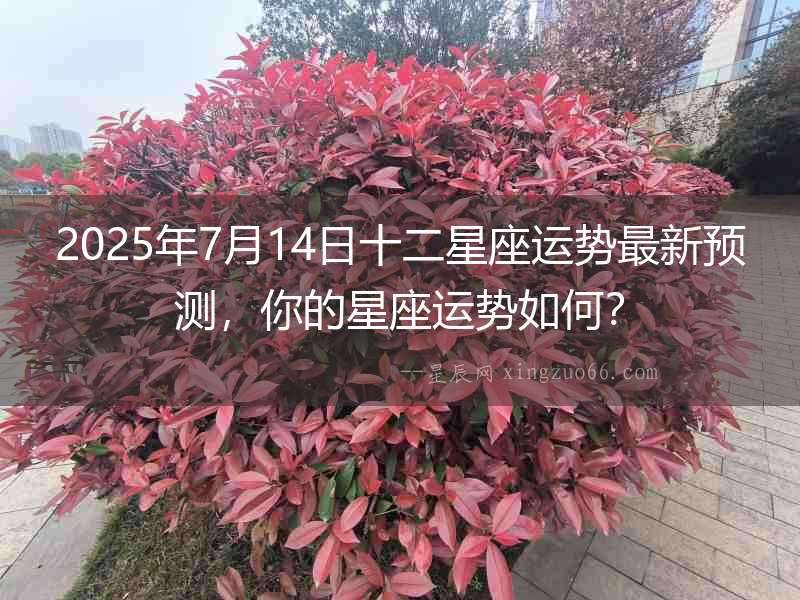 2025年7月14日十二星座運勢最新預測，你的星座運勢如何？