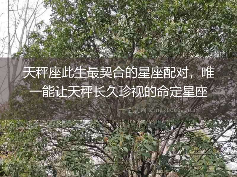 天秤座此生最契合的星座配對(duì)，唯一能讓天秤長(zhǎng)久珍視的命定星座