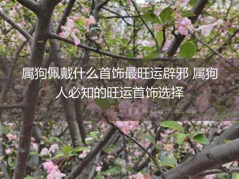屬狗佩戴什么首飾最旺運(yùn)辟邪 屬狗人必知的旺運(yùn)首飾選擇