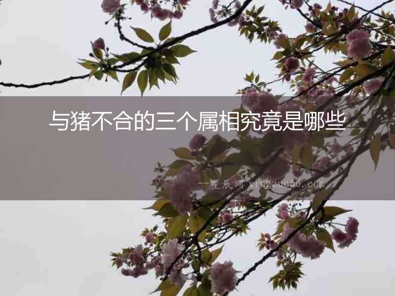 與豬不合的三個(gè)屬相究竟是哪些