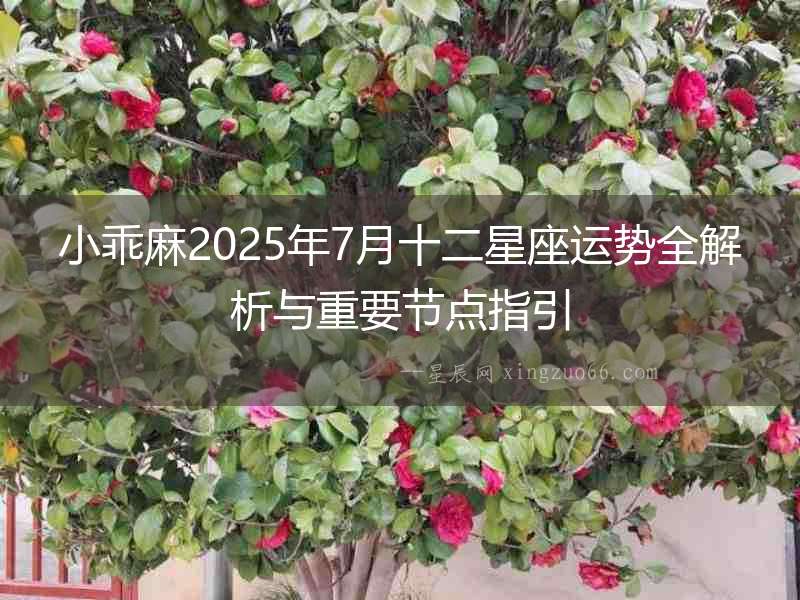 小乖麻2025年7月十二星座運勢全解析與重要節點指引