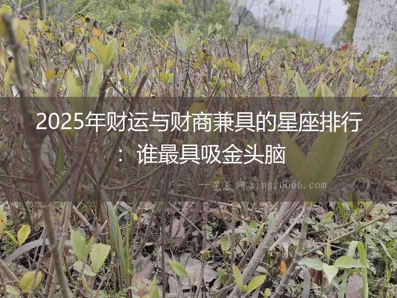 2025年財運與財商兼具的星座排行：誰最具吸金頭腦