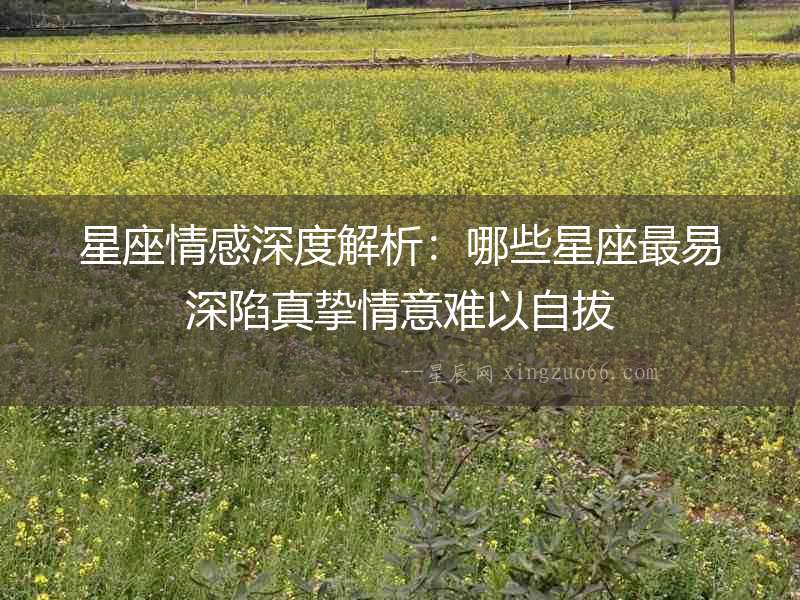 星座情感深度解析：哪些星座最易深陷真摯情意難以自拔