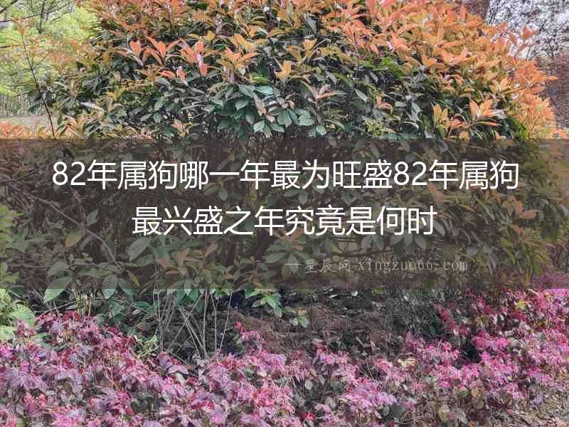 82年屬狗哪一年最為旺盛82年屬狗最興盛之年究竟是何時(shí)