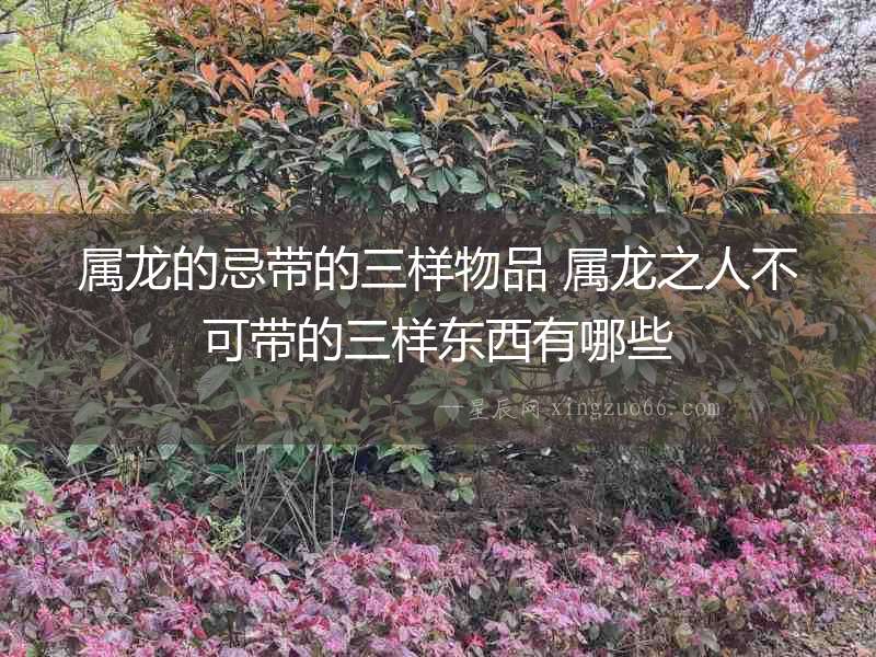 屬龍的忌帶的三樣物品 屬龍之人不可帶的三樣東西有哪些