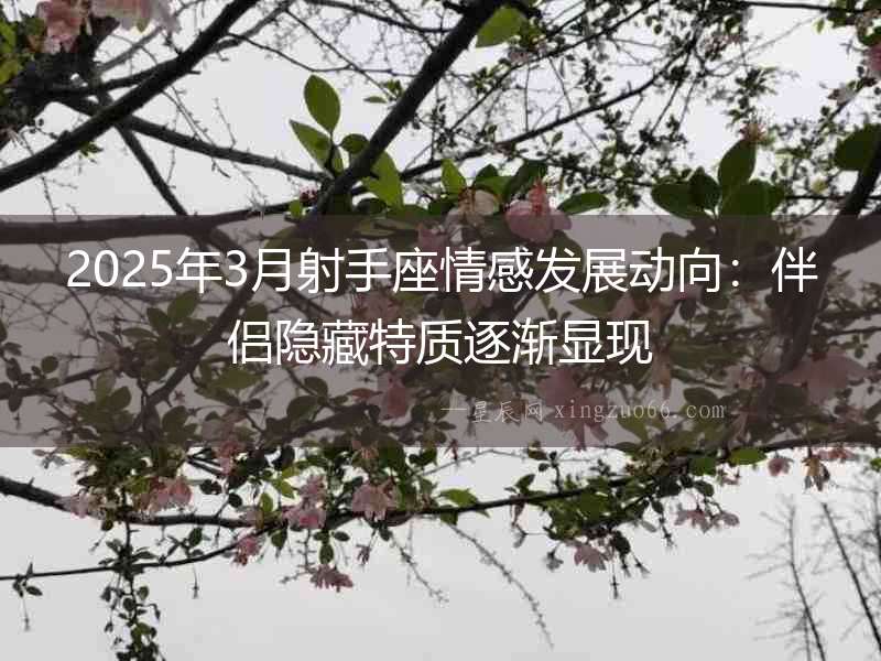 2025年3月射手座情感發展動向：伴侶隱藏特質逐漸顯現