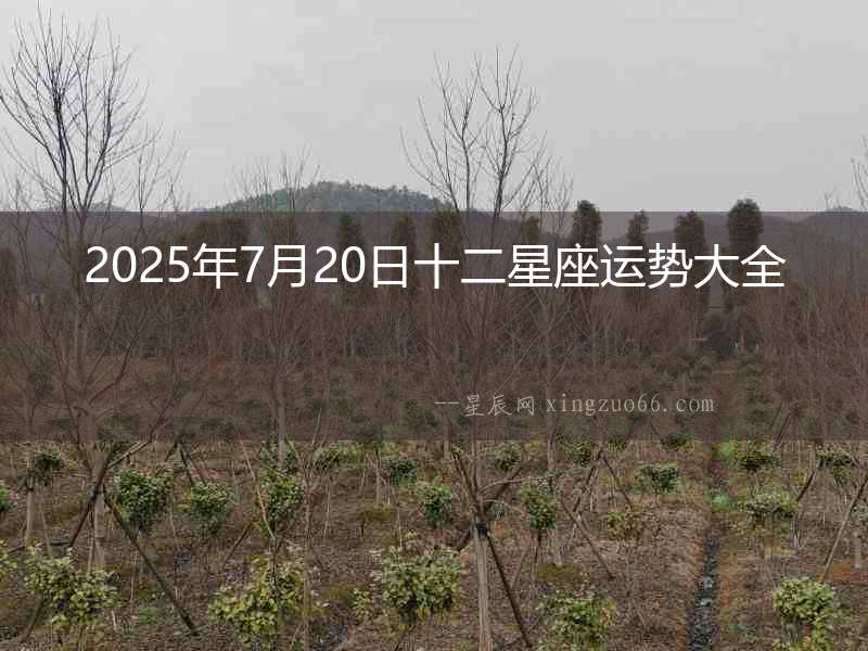 2025年7月20日十二星座運勢大全