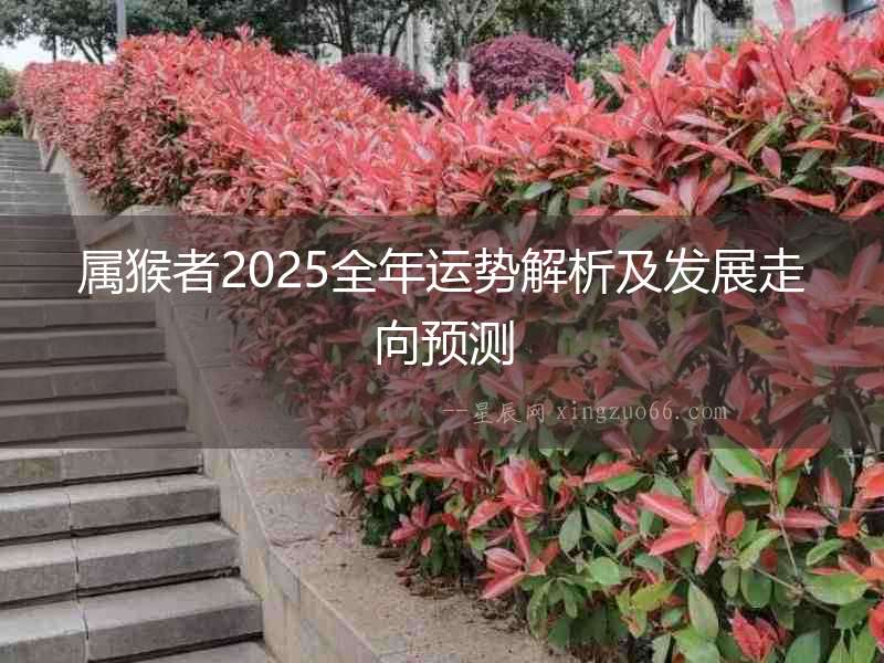 屬猴者2025全年運勢解析及發展走向預測