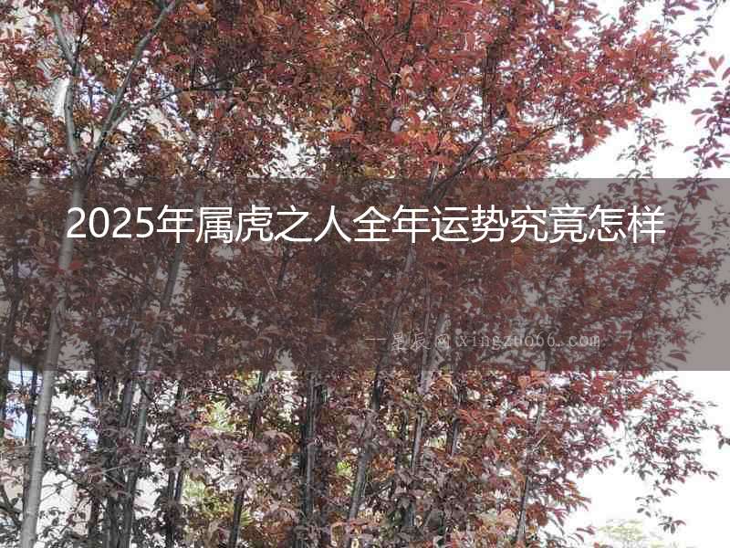 2025年屬虎之人全年運(yùn)勢究竟怎樣
