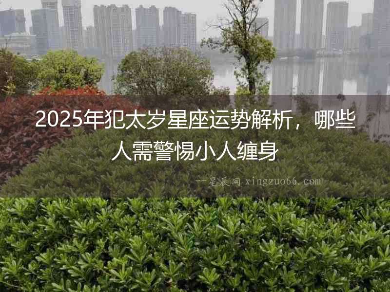 2025年犯太歲星座運勢解析，哪些人需警惕小人纏身