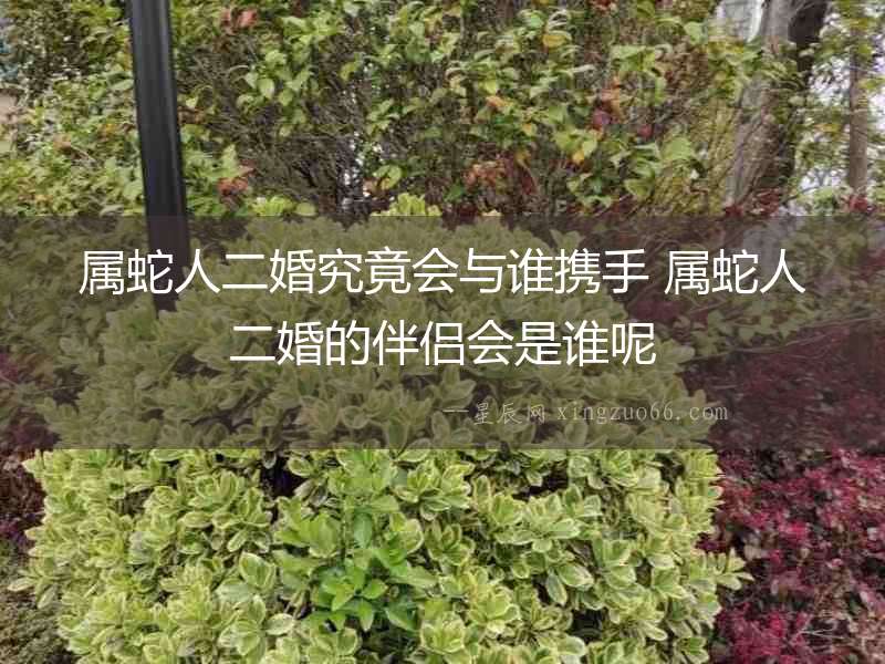 屬蛇人二婚究竟會與誰攜手 屬蛇人二婚的伴侶會是誰呢