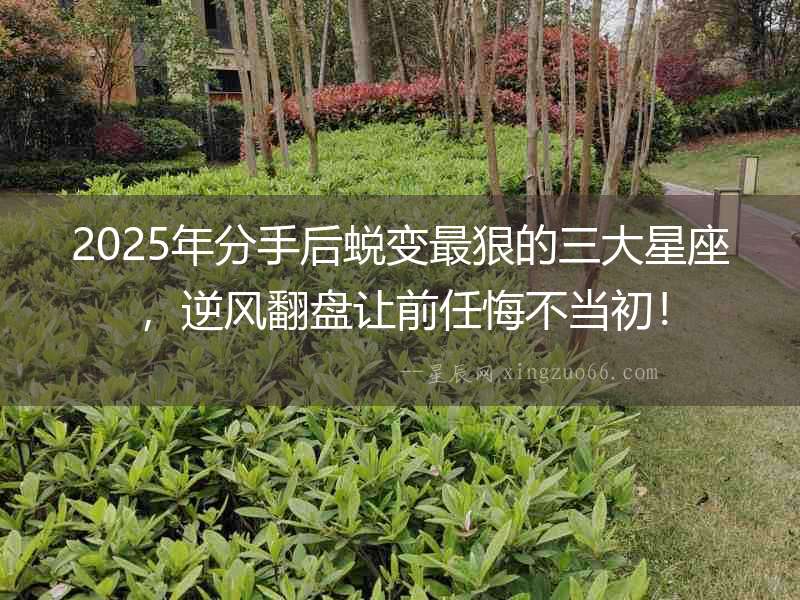 2025年分手后蛻變最狠的三大星座，逆風翻盤讓前任悔不當初！