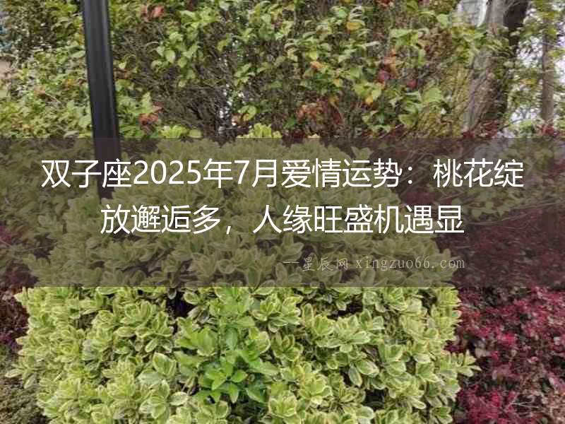 雙子座2025年7月愛情運勢：桃花綻放邂逅多，人緣旺盛機遇顯