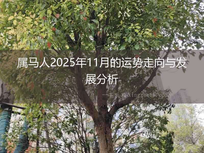 屬馬人2025年11月的運(yùn)勢走向與發(fā)展分析