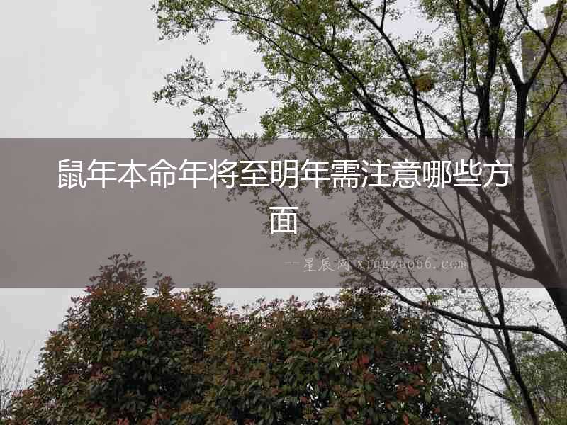 鼠年本命年將至明年需注意哪些方面