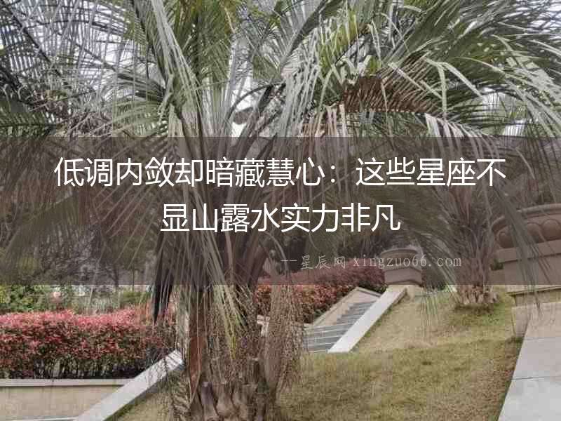 低調內斂卻暗藏慧心：這些星座不顯山露水實力非凡