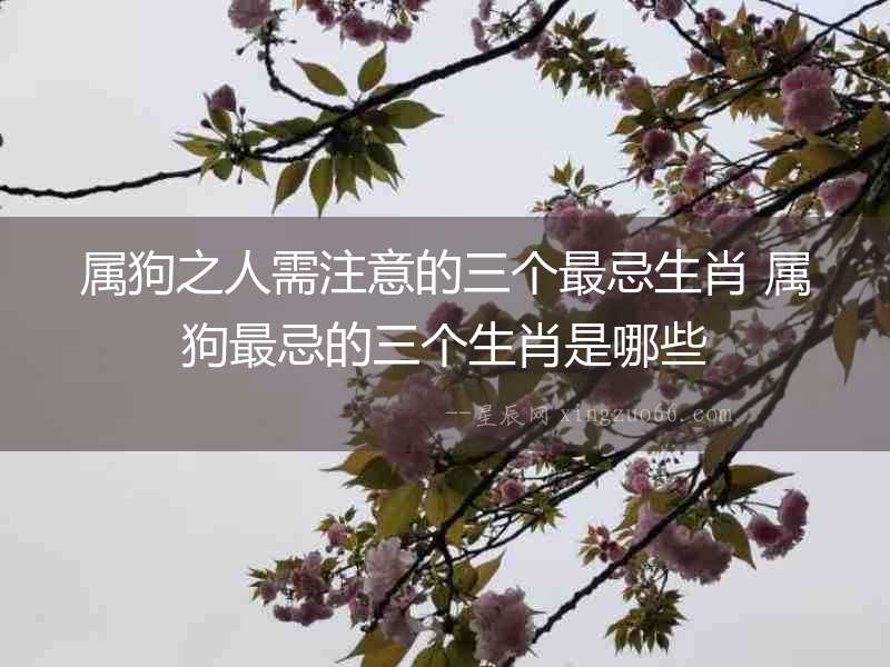 屬狗之人需注意的三個(gè)最忌生肖 屬狗最忌的三個(gè)生肖是哪些