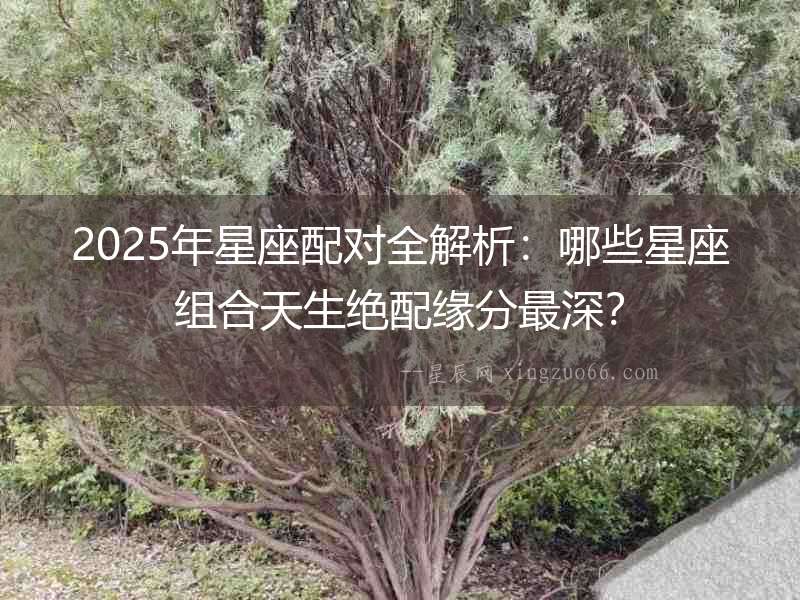 2025年星座配對全解析：哪些星座組合天生絕配緣分最深？