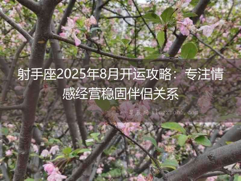射手座2025年8月開運攻略：專注情感經營穩固伴侶關系