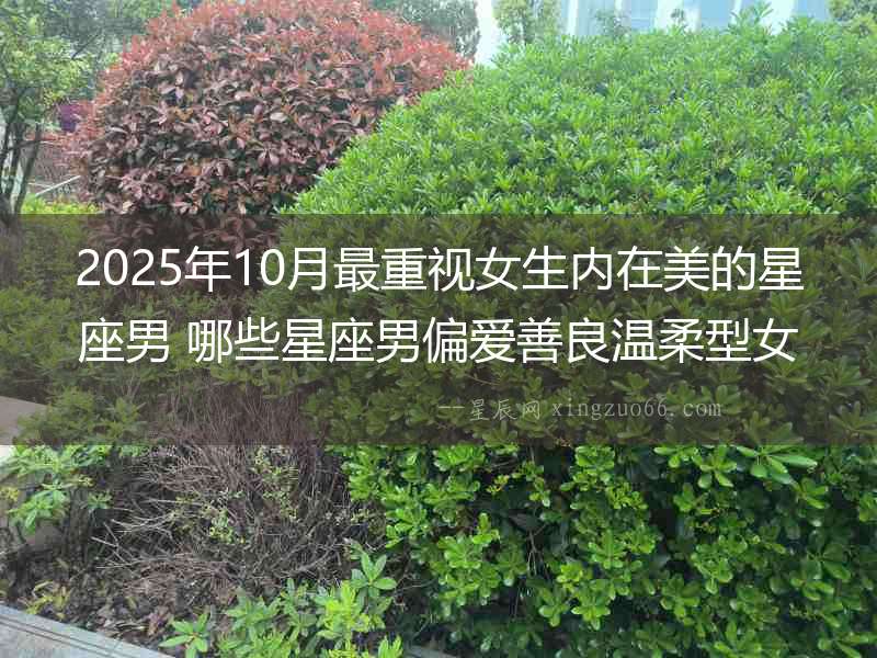 2025年10月最重視女生內在美的星座男 哪些星座男偏愛善良溫柔型女生