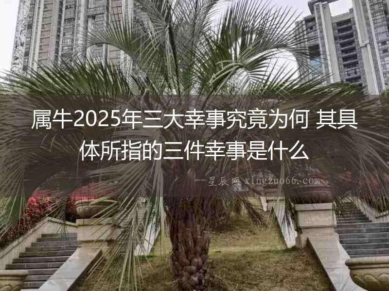 屬牛2025年三大幸事究竟為何 其具體所指的三件幸事是什么