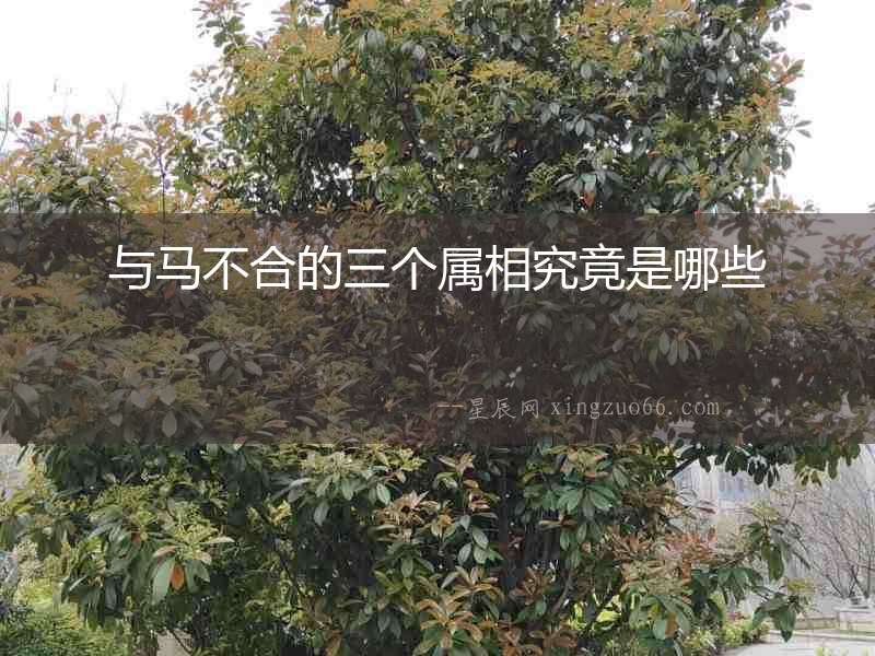 與馬不合的三個屬相究竟是哪些