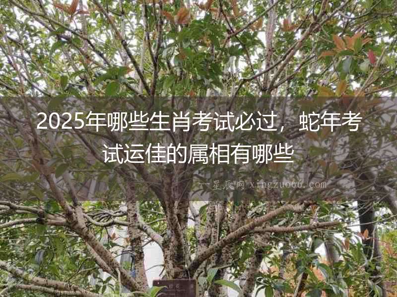 2025年哪些生肖考試必過，蛇年考試運佳的屬相有哪些